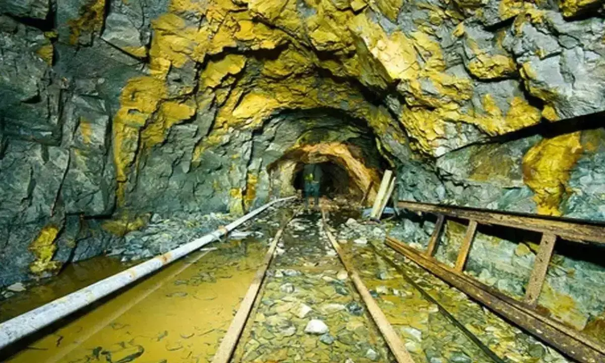 First pvt gold mine in AP to soon begin production