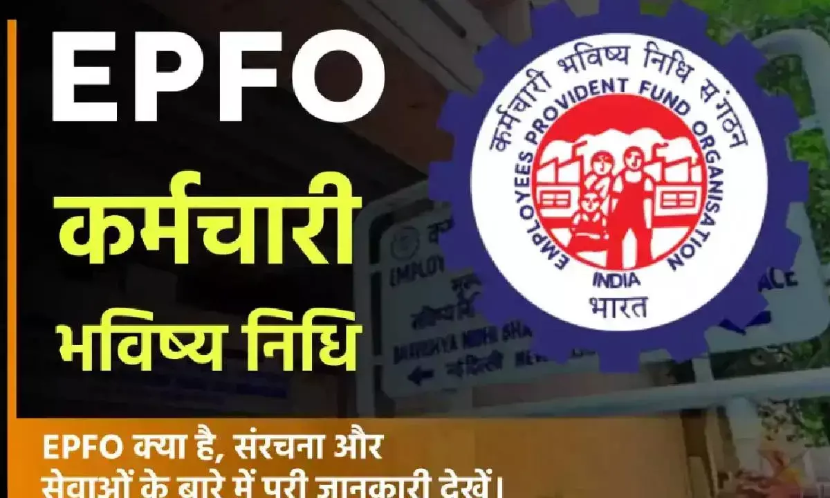EPFO rolls out ‘Passbook Lite’ for easy access to all