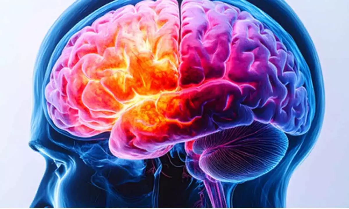 Link between vascular disease and dementia risk overlooked: Study