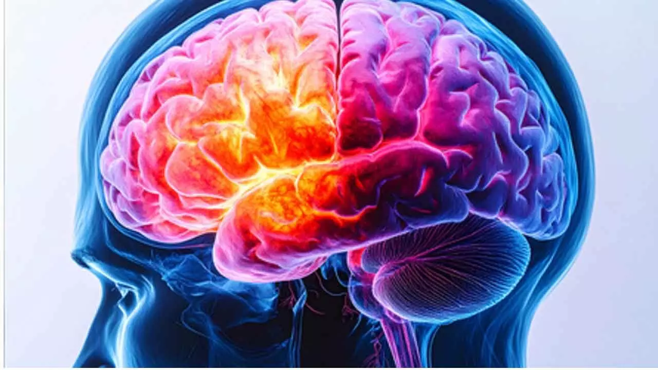 Link between vascular disease and dementia risk overlooked: Study Link between vascular disease and dementia risk overlooked: Study
