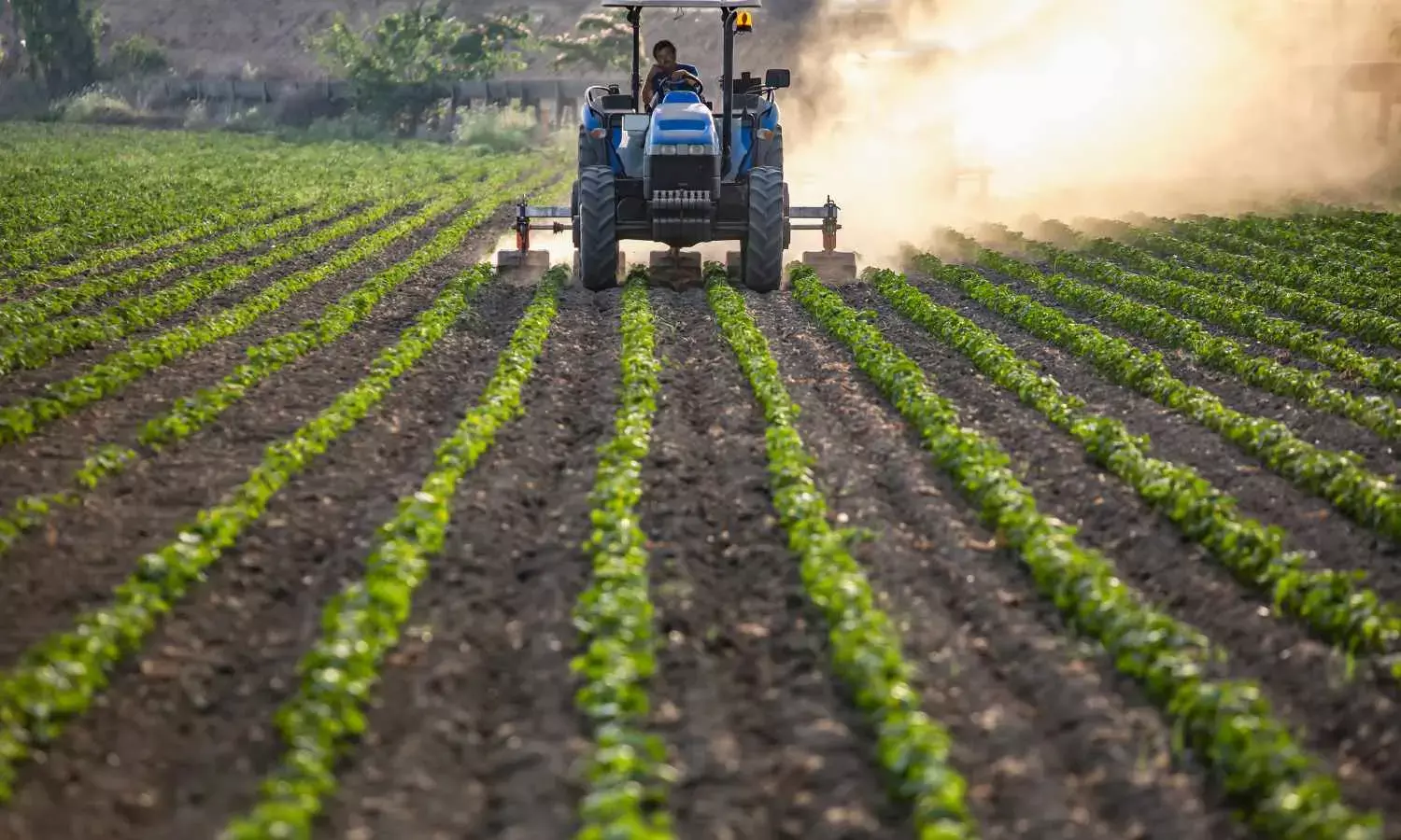 Agri Stack preparing digital data of 14 crore farmers by 2026-27, says top official