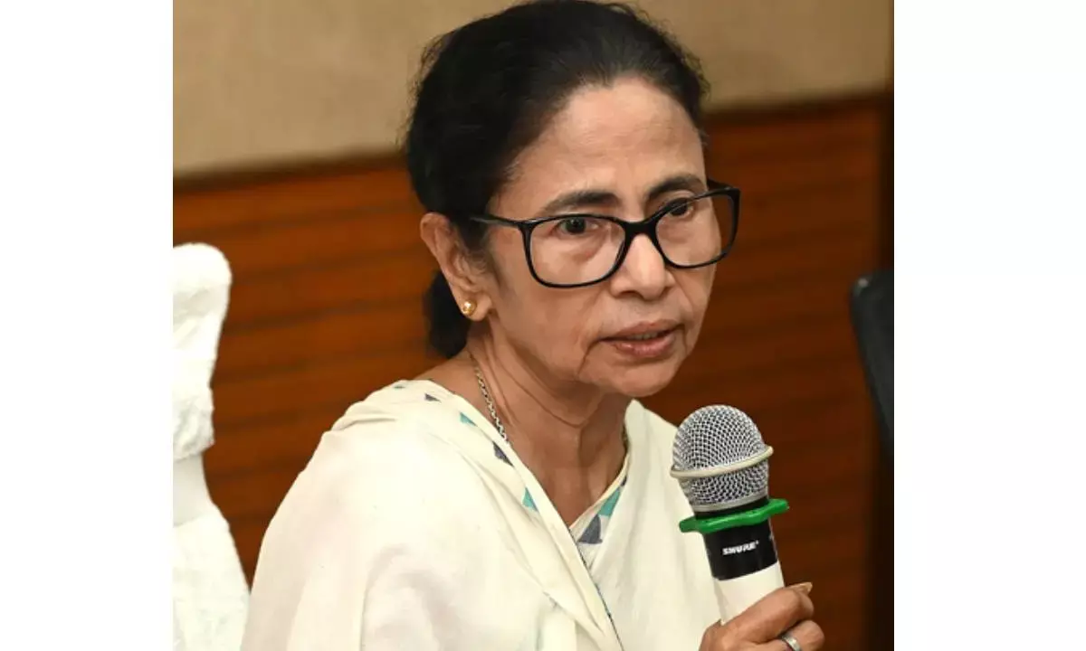 Mamata blames pvt power utility for 7 electrocution deaths
