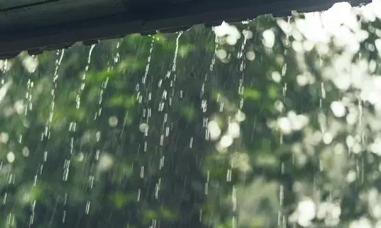 September Rain Storms Bring Water Damage & Mold to South Florida