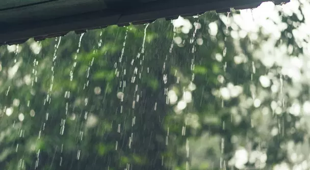 September Rain Storms Bring Water Damage & Mold to South Florida
