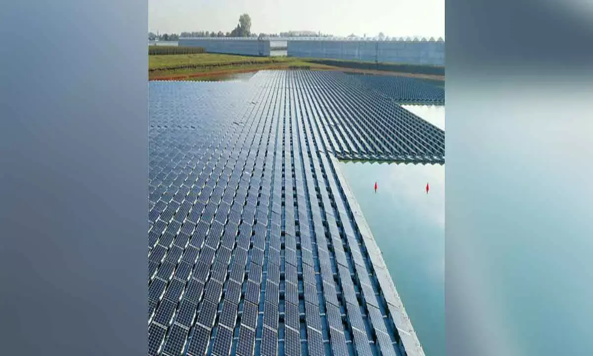 US investigation not to impact investment plans: Waaree Energies