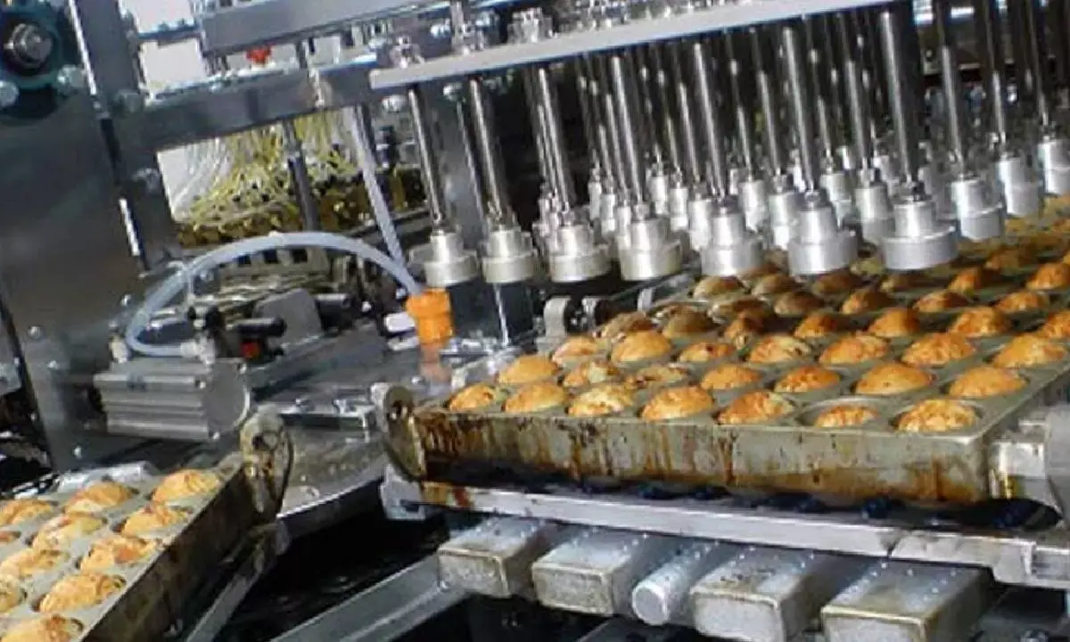 Indian food processing sector to get Rs1.02L cr investment: Govt