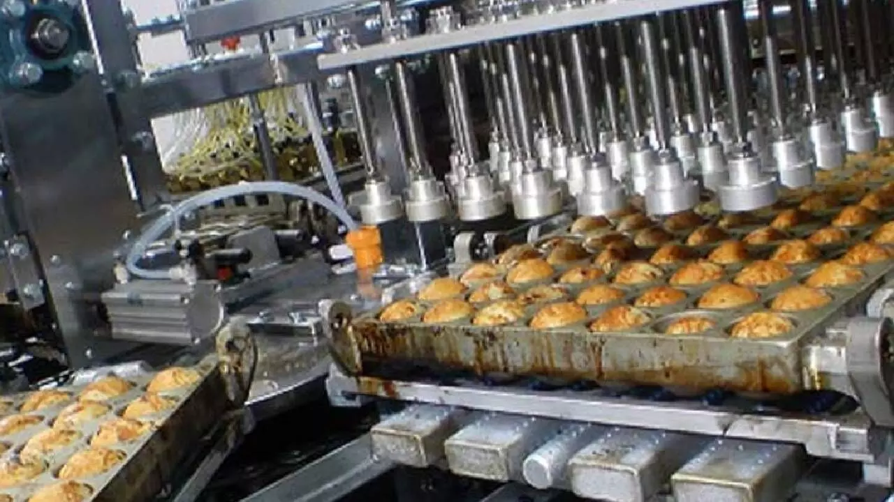 Indian food processing sector to get Rs1.02L cr investment: Govt