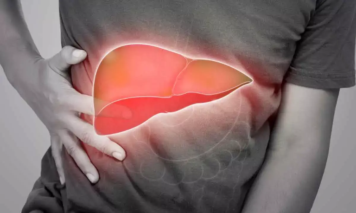 How alcohol contributes to the epidemic of liver disease