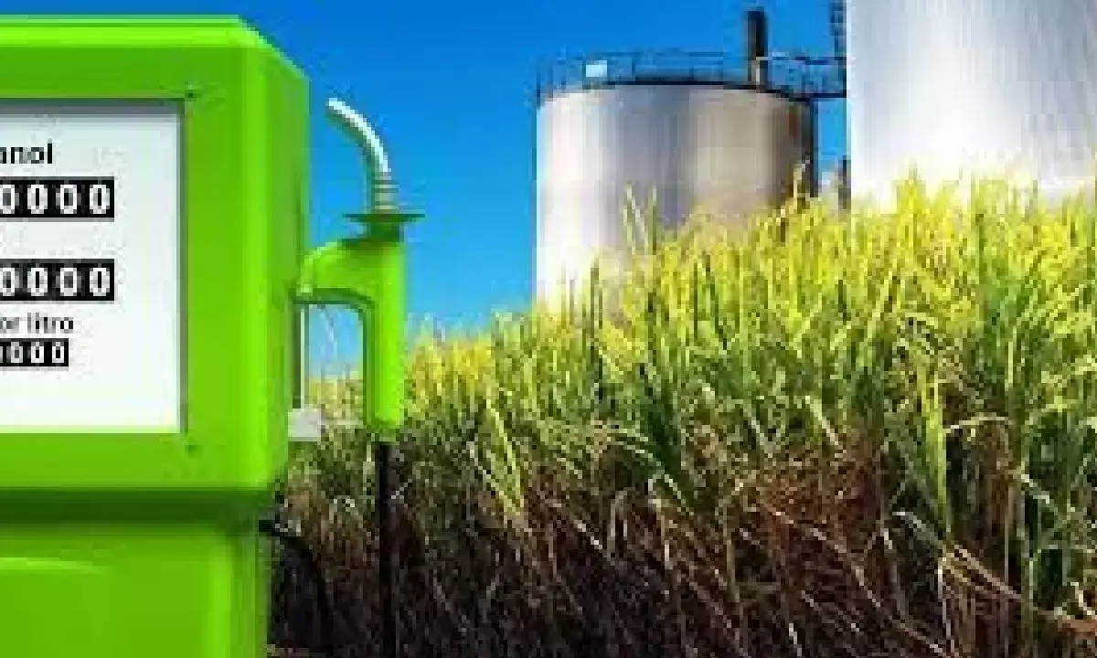 Allegations work of powerful lobby hit by ethanol blending of petrol: Gadkari