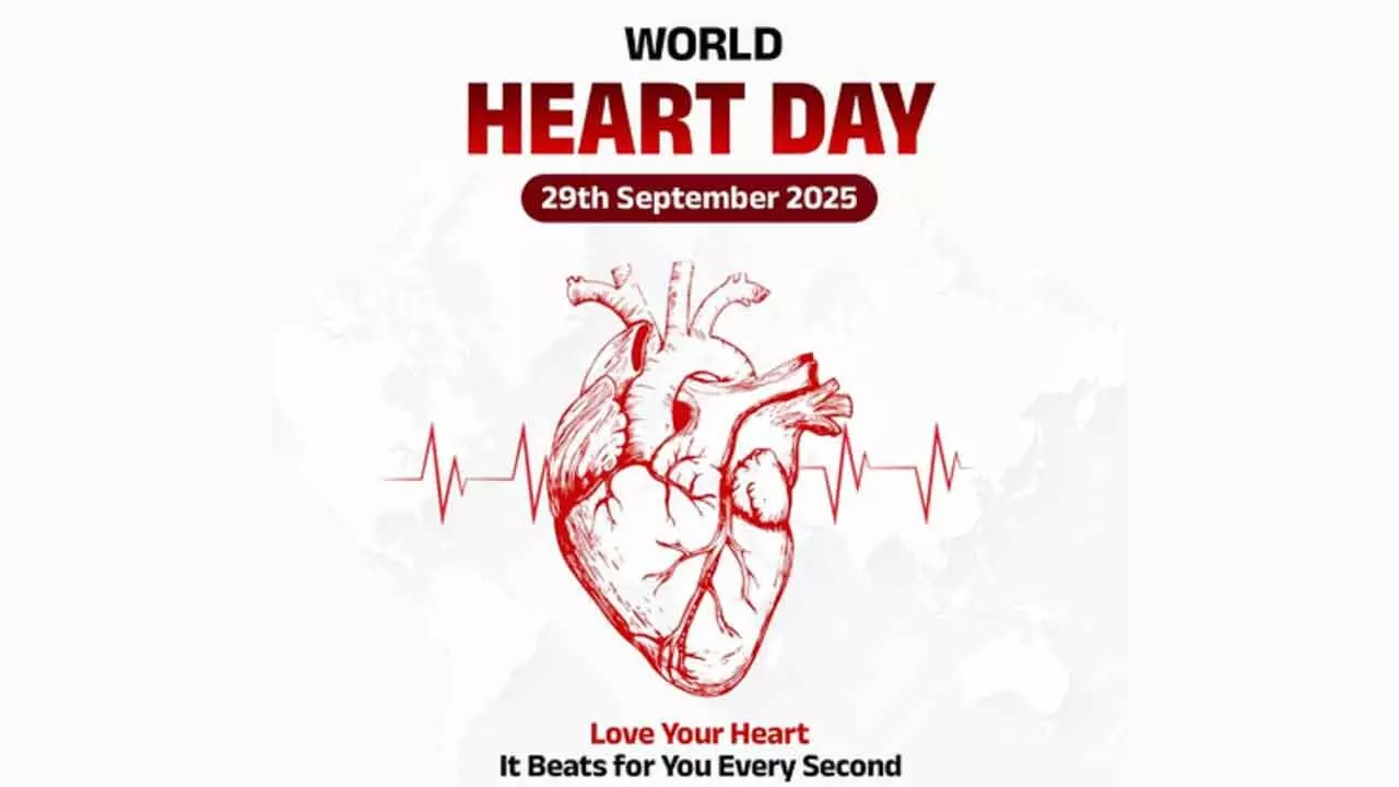 Adopt healthy lifestyles to avoid heart diseases