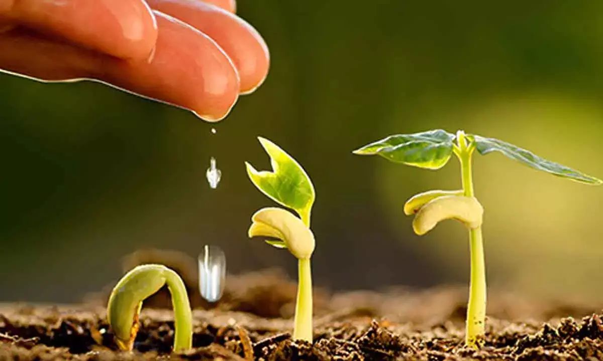 Ideological biases shouldn’t build pressure on agriculture