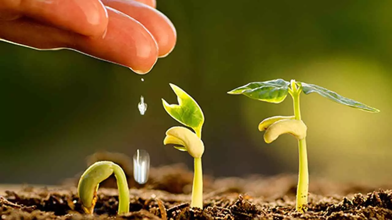 Ideological biases shouldn’t build pressure on agriculture
