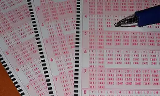 Nagaland Dear Yamuna 8 PM Lottery Result Today 05.10.2025 [LIVE]: Sunday Lucky Draw Declared – 1 Crore First Prize