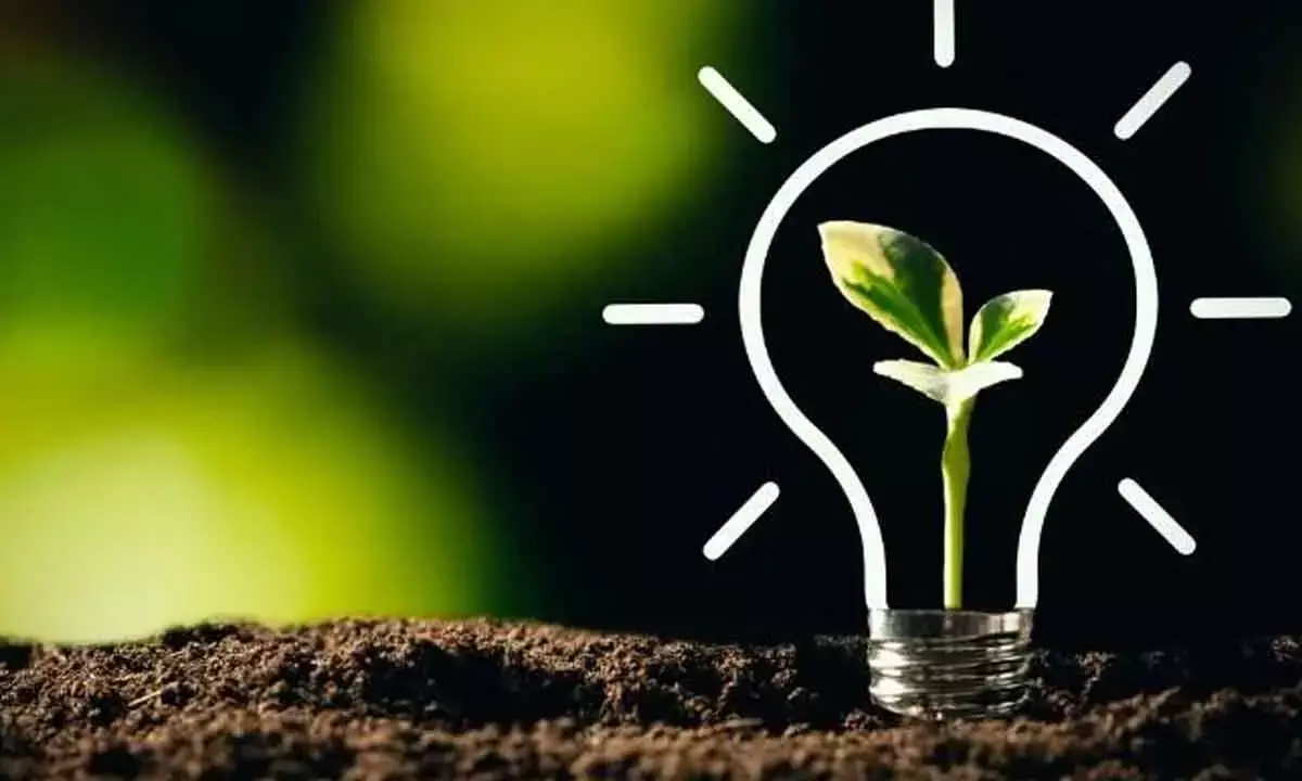 Going Green, but stuck in amber on sustainability disconnect