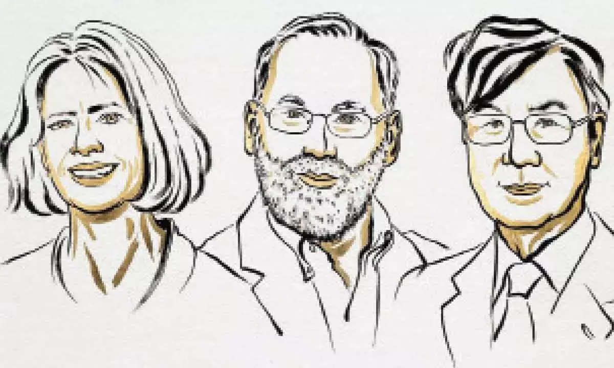 Nobel Prize in Medicine goes to 3 scientists