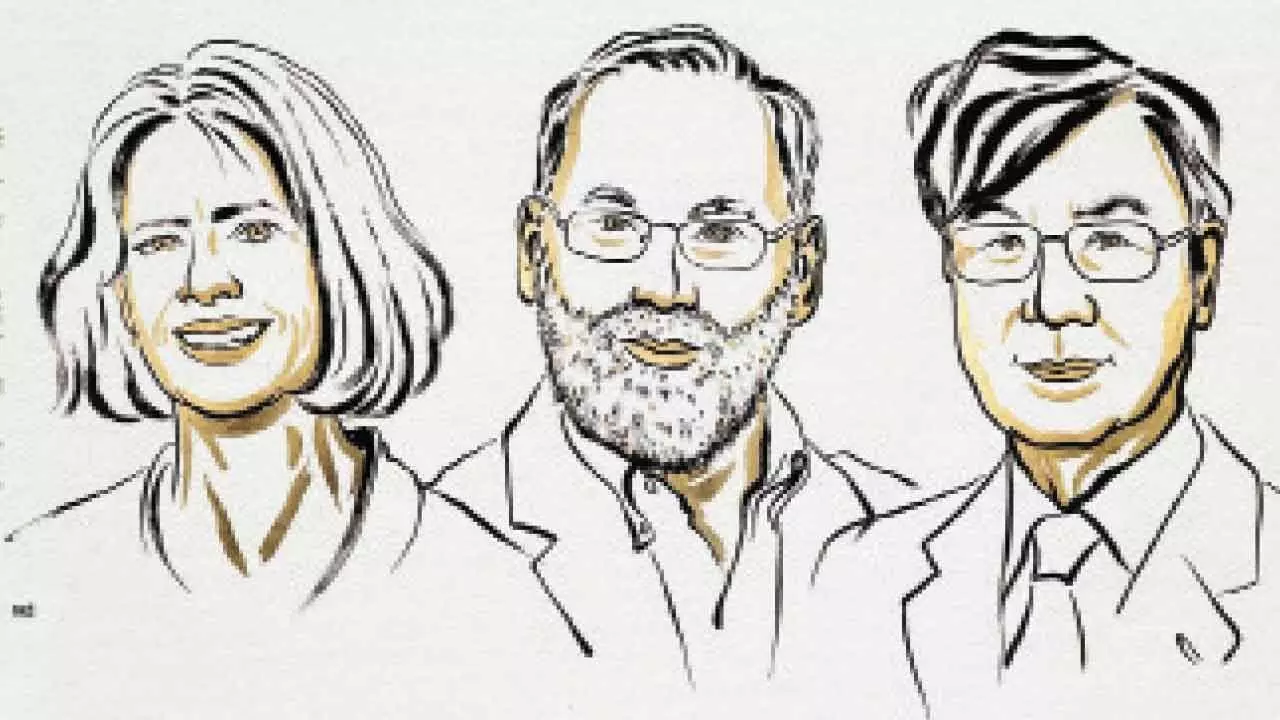 Nobel Prize in Medicine goes to 3 scientists