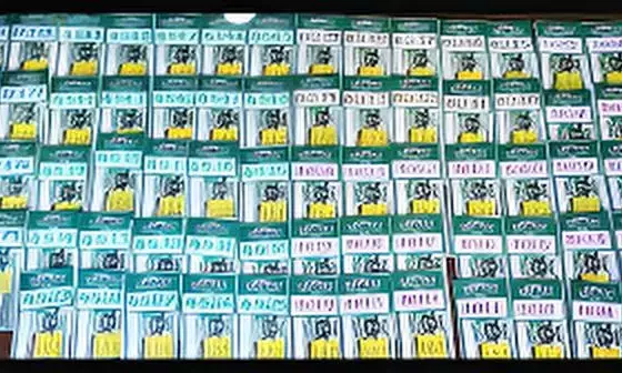 Kerala Lottery Result Today (October 8, 2025): DhanaLekshmi DL-21 Result OUT — Full Winner List and Prize Details