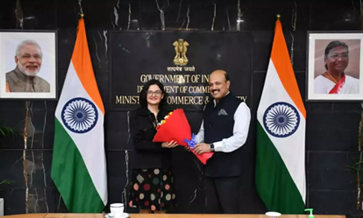 India, Brazil brace up to fix gaps in bilateral trade