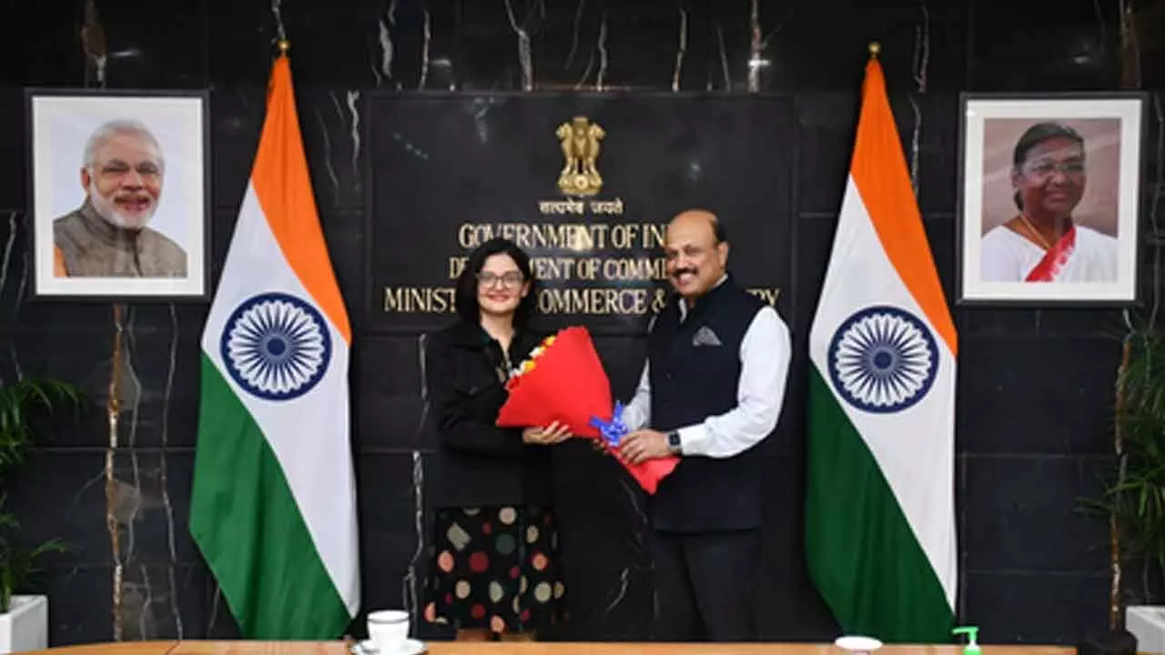 India, Brazil brace up to fix gaps in bilateral trade