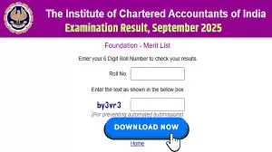 ICAI CA September Result 2025: Expected Date, Time, and How to Check ICAI CA September Result 2025: Expected Date, Time, and How to Check