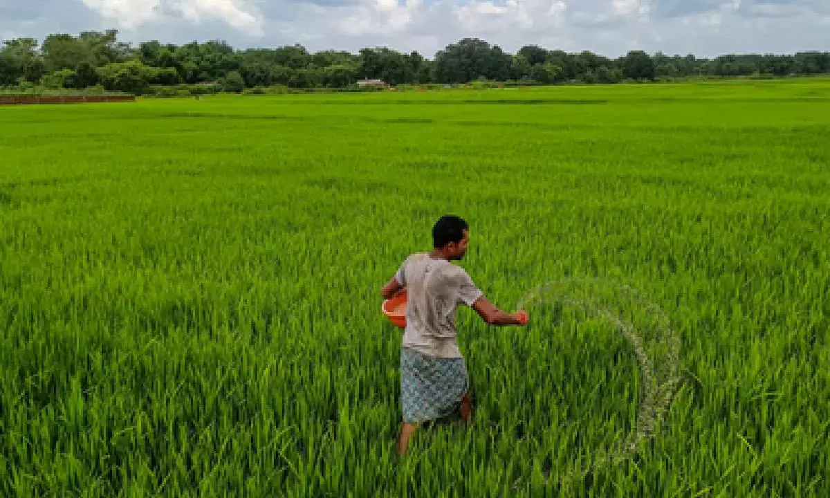 Complex fertiliser volume to grow 2-4%