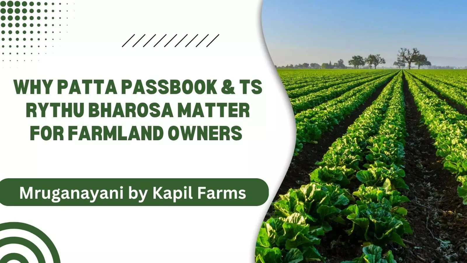 Why Patta Passbook & TS Rythu Bharosa Matter for Farmland Owners | Mruganayani Kapil Farms Why Patta Passbook & TS Rythu Bharosa Matter for Farmland Owners | Mruganayani Kapil Farms