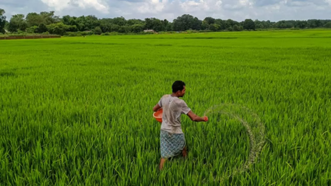 Complex fertiliser volume to grow 2-4% Complex fertiliser volume to grow 2-4%
