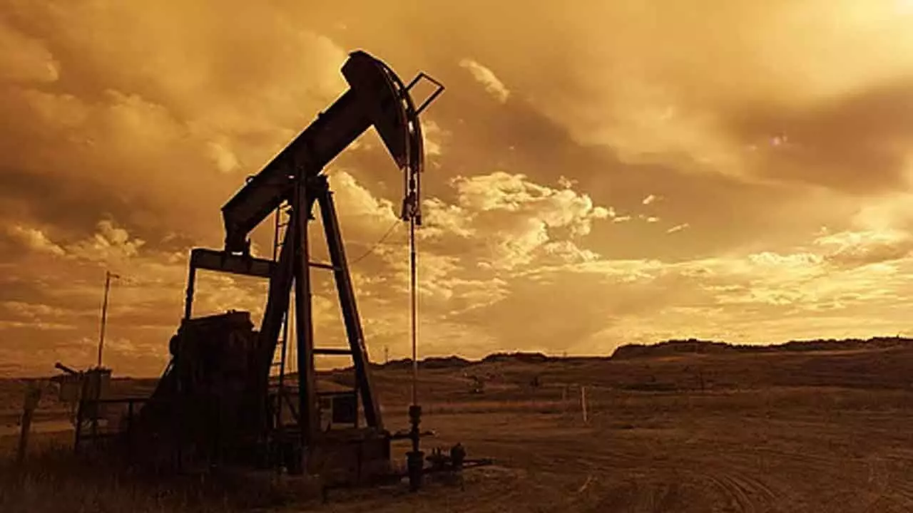 Crude oil futures gain on spot demand Crude oil futures gain on spot demand