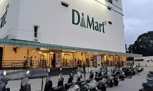 DMart Q2 Results: Avenue Supermarts Net Profit Rises 4% YoY to ₹685 Crore; Revenue Up 15%
