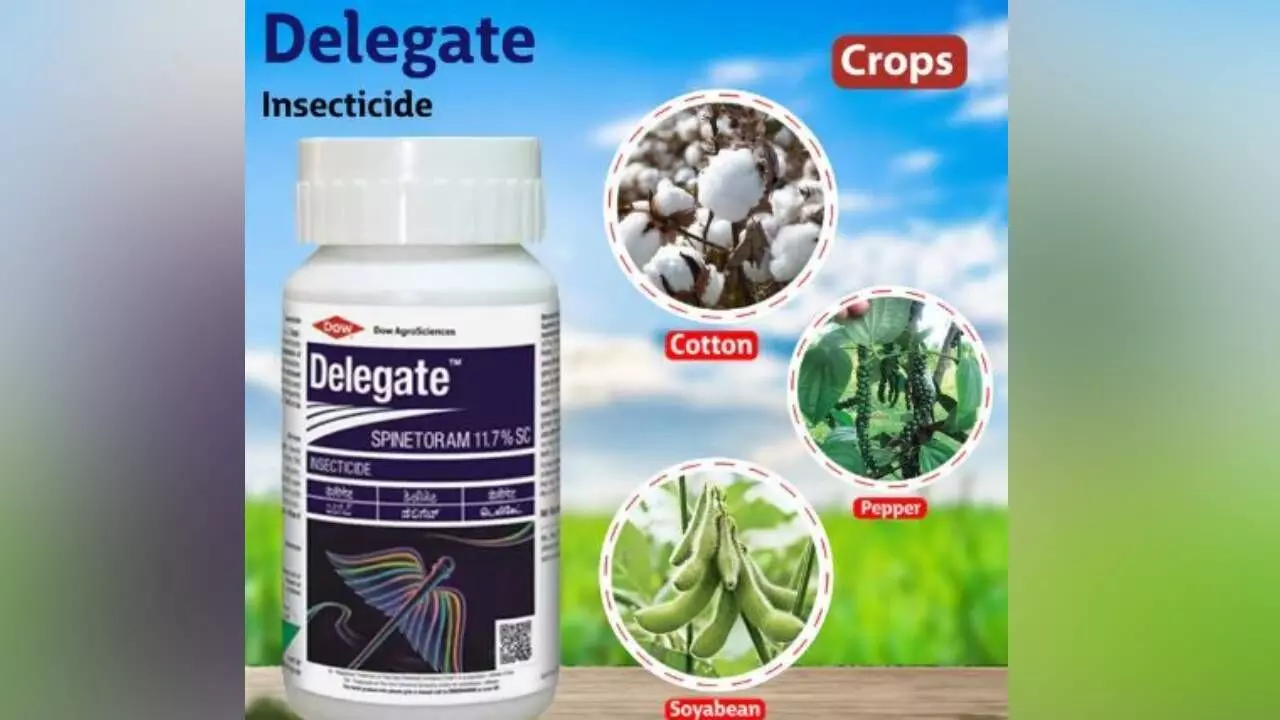 Corteva updates insecticide Delegate for Indian crops Corteva updates insecticide Delegate for Indian crops