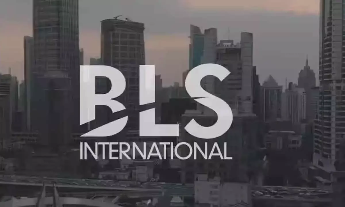 BLS International shares crash 17% after MEA bars company