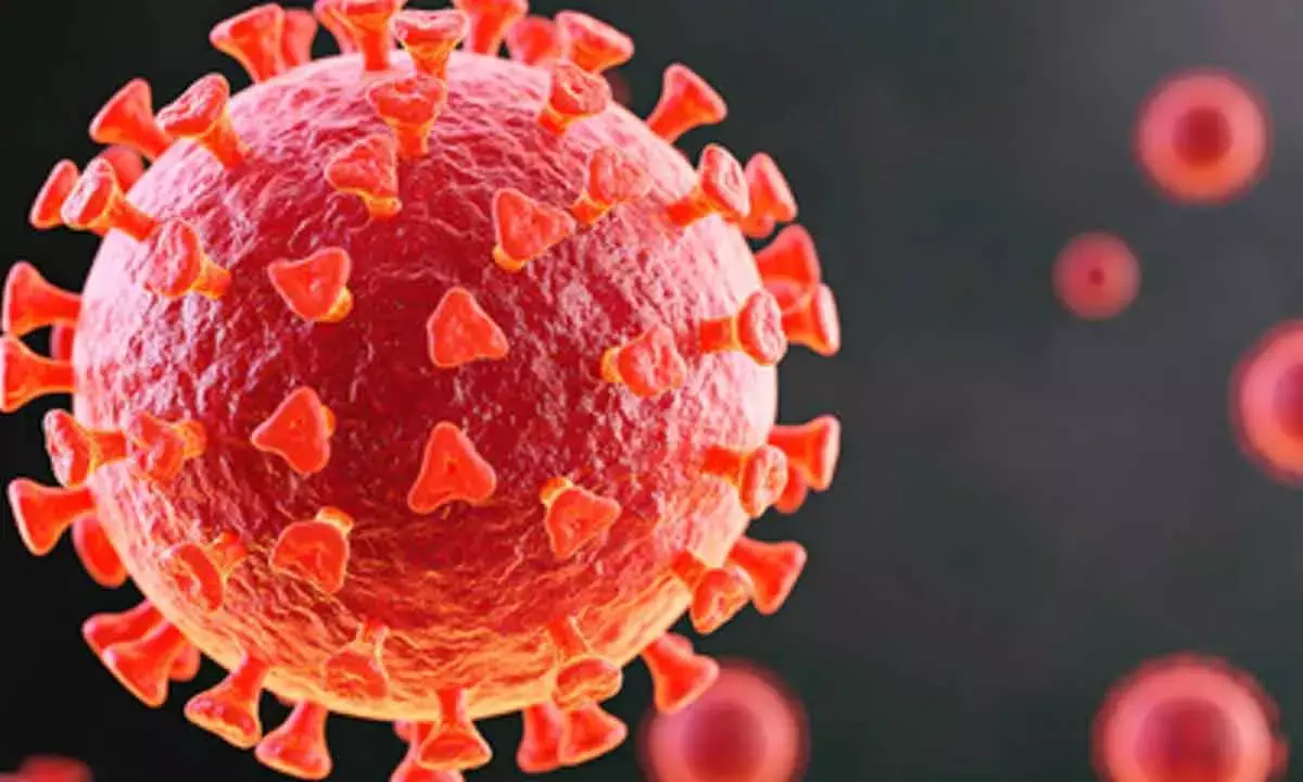 Covid virus can cause changes in sperm, raise anxiety risk in future generations: Study