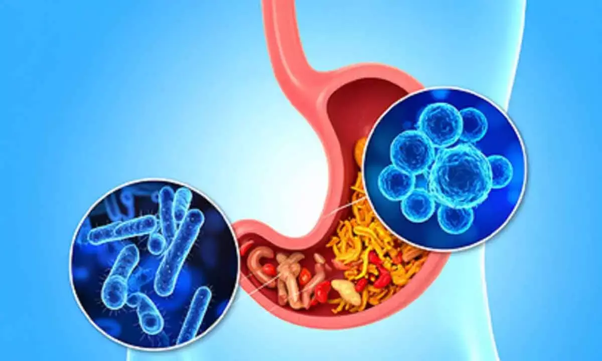 New antibiotic to curb dangerous gut bacterium with a low dose