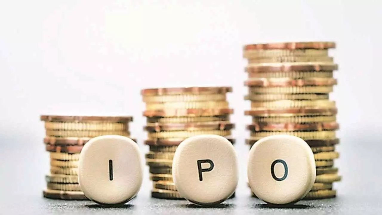 Mann Fleet Partners files IPO papers Mann Fleet Partners files IPO papers