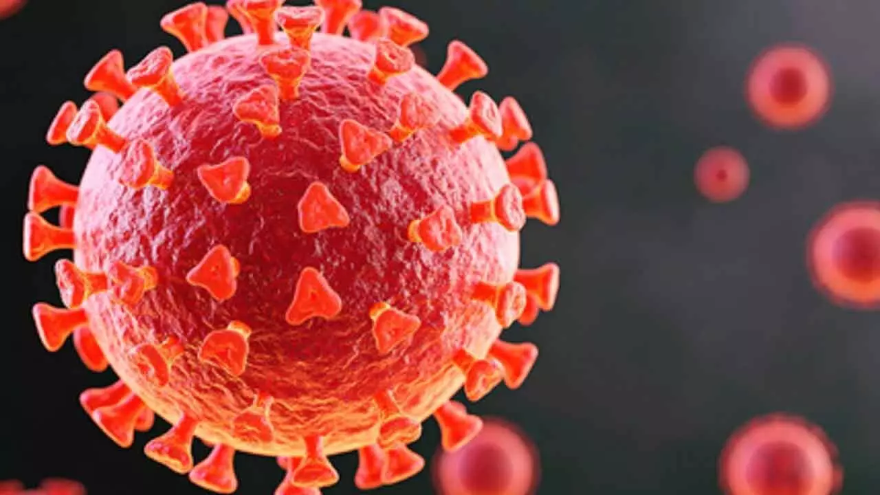 Covid virus can cause changes in sperm, raise anxiety risk in future generations: Study Covid virus can cause changes in sperm, raise anxiety risk in future generations: Study
