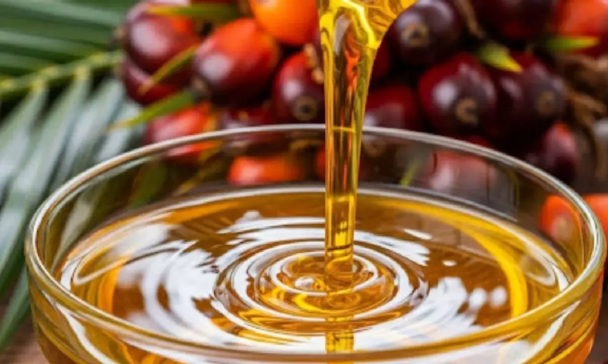India needs palm oil tariff policy to end market chaos: Study