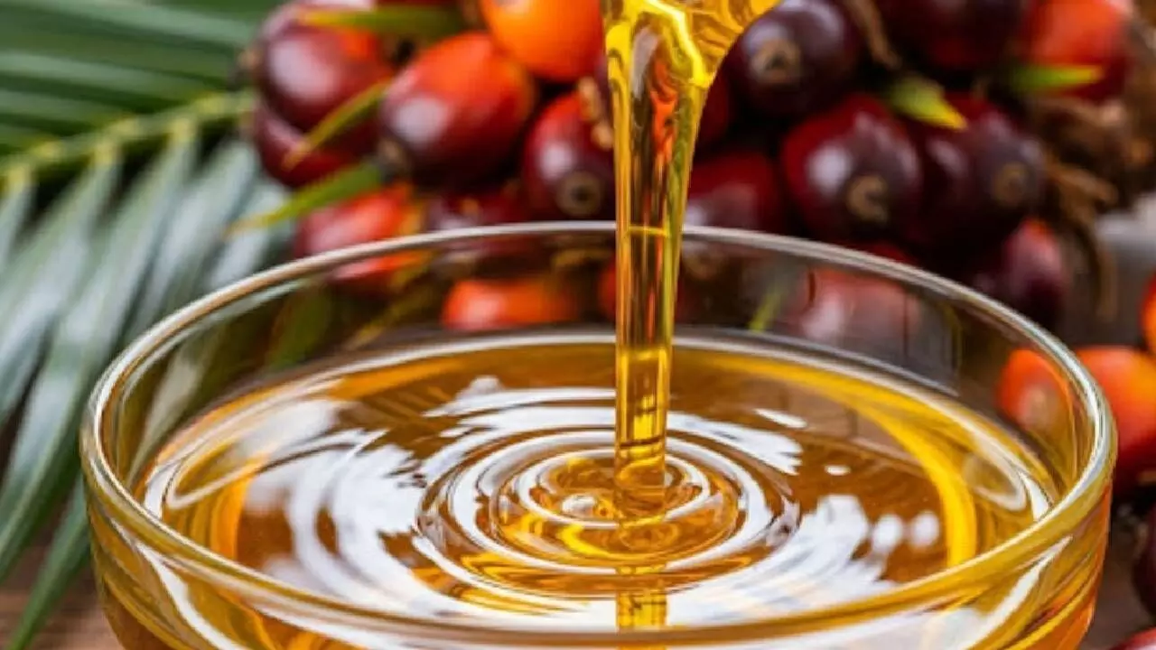 India needs palm oil tariff policy to end market chaos: Study India needs palm oil tariff policy to end market chaos: Study