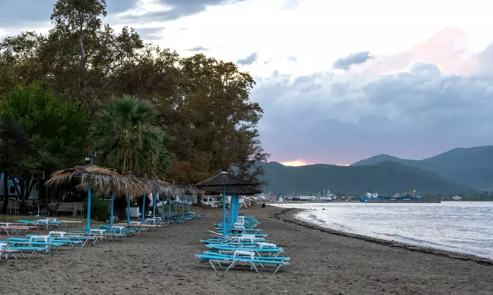 Why Costa Mesa Is a Great Place to Live