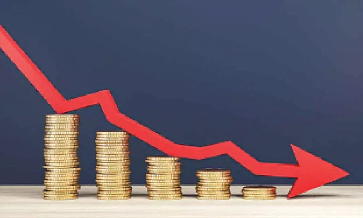 Nirman Agri Genetics shares hit lower circuit