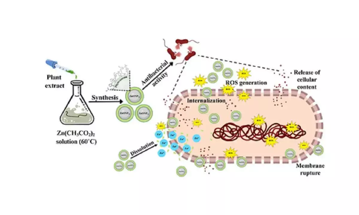 NIT Rourkela pioneers green alternative to fight antibiotic resistance