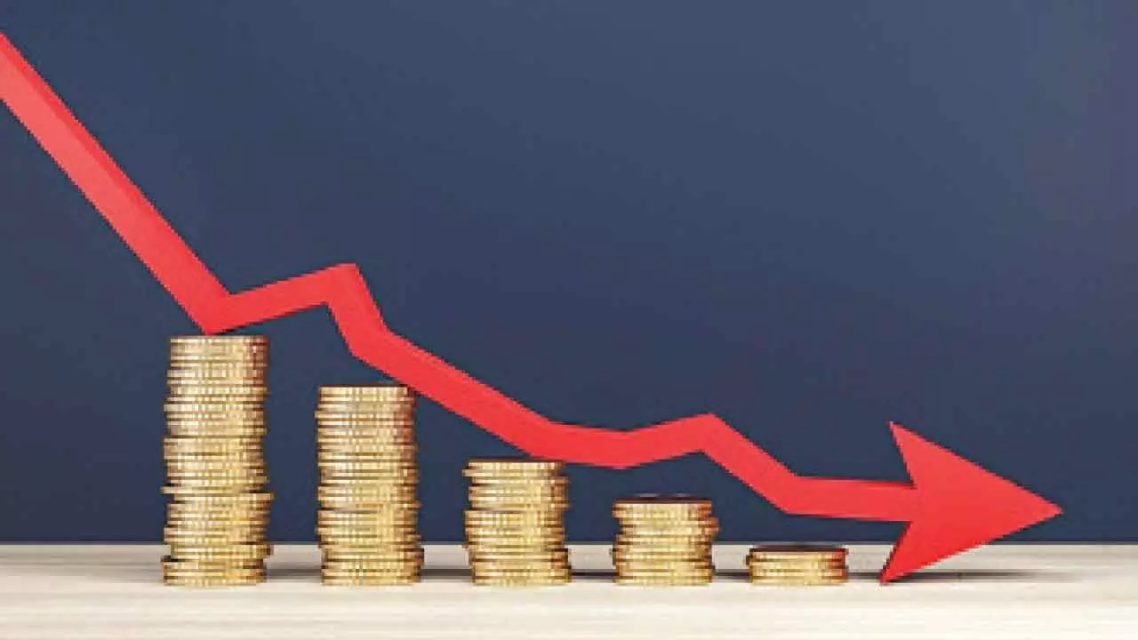 Nirman Agri Genetics shares hit lower circuit Nirman Agri Genetics shares hit lower circuit