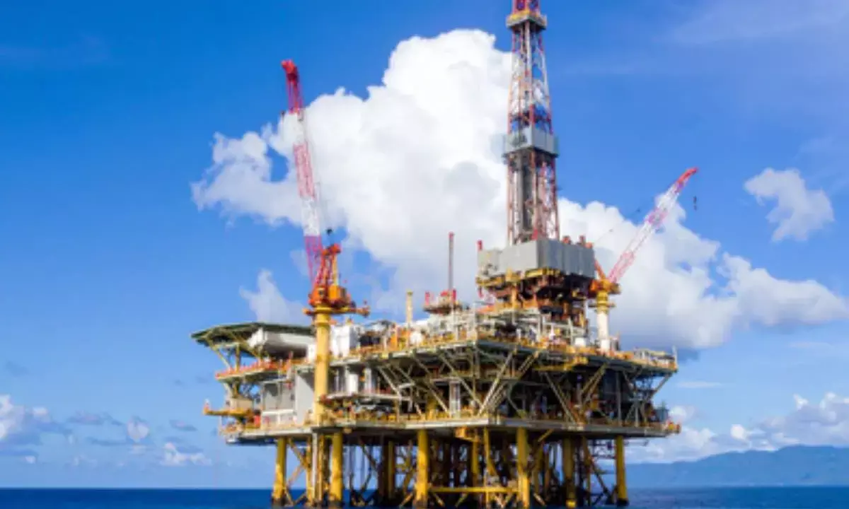 India’s oil and gas imports guided entirely by consumer interests