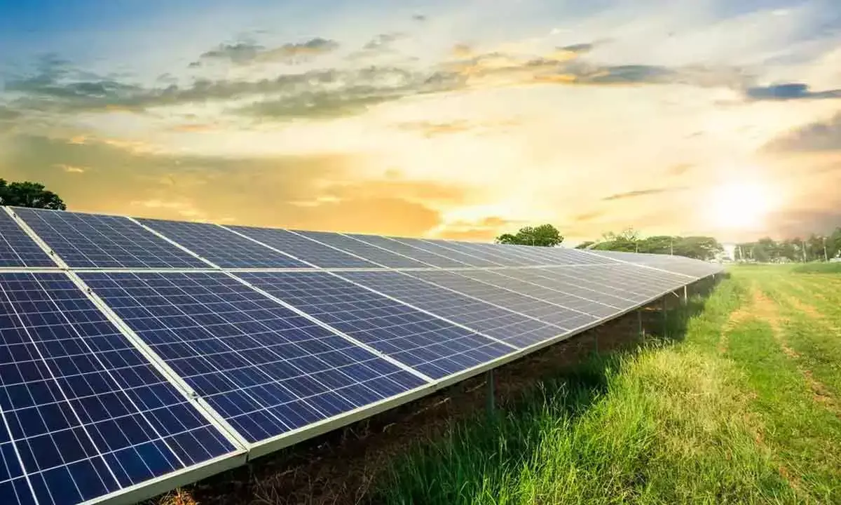 Jakson Group’s Rs 8K-cr solar unit in MP goes on stream