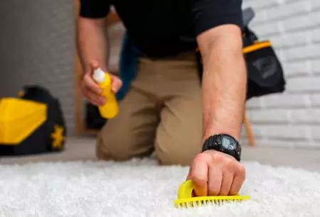 Carpet Bright UK: A Cleaner Home Starts with Our Expert Service Carpet Bright UK: A Cleaner Home Starts with Our Expert Service