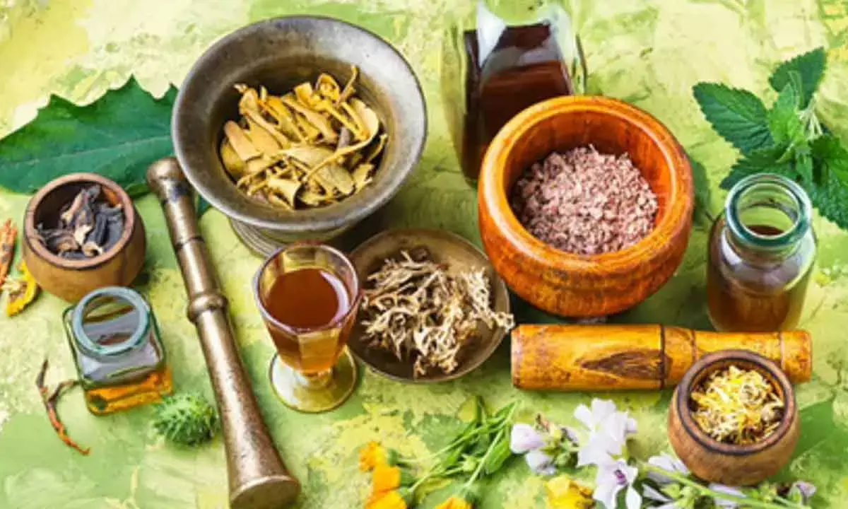 Wow! Ayurveda Day now a global health movement: CSIR scientist