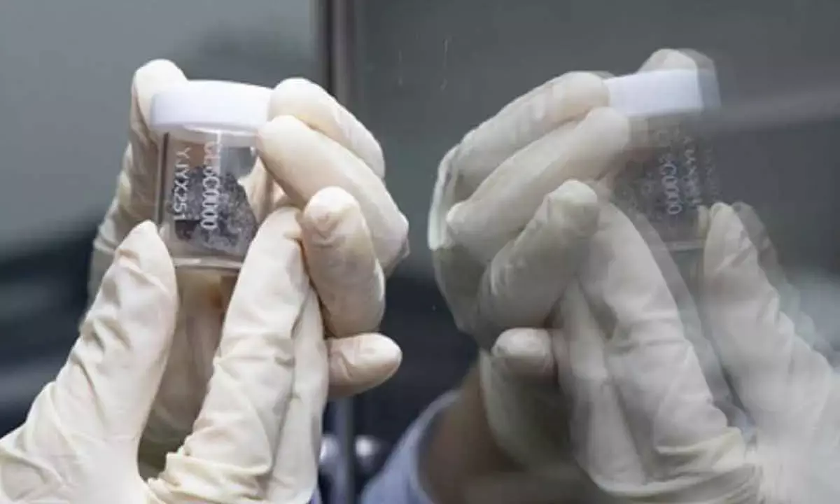 Rare meteorite relics discovered in Change-6 lunar samples