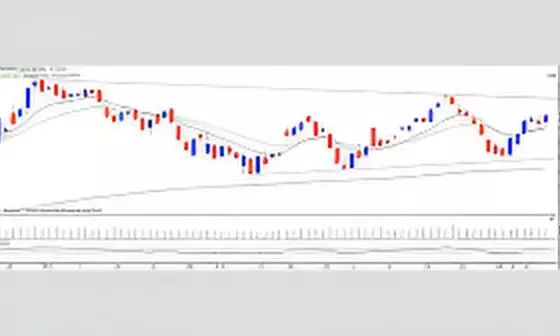 Nifty Prediction for Tomorrow, 23 October: Bulls Eye 26,000 as Uptrend Continues; Key Support and Resistance Levels