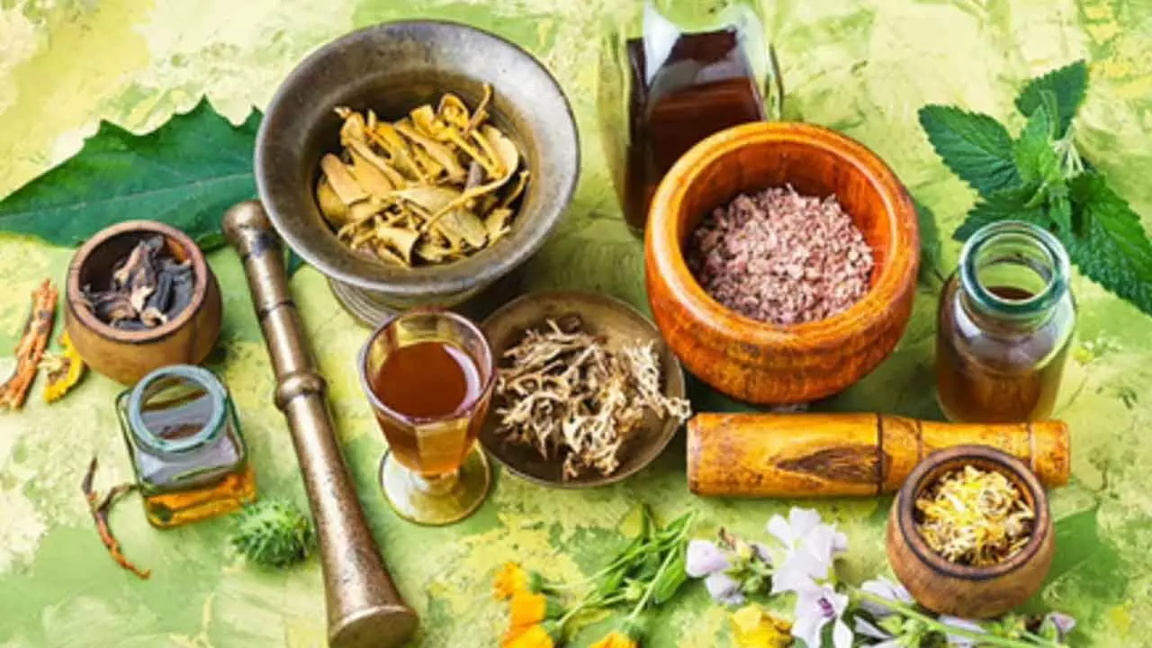 Wow! Ayurveda Day now a global health movement: CSIR scientist Wow! Ayurveda Day now a global health movement: CSIR scientist