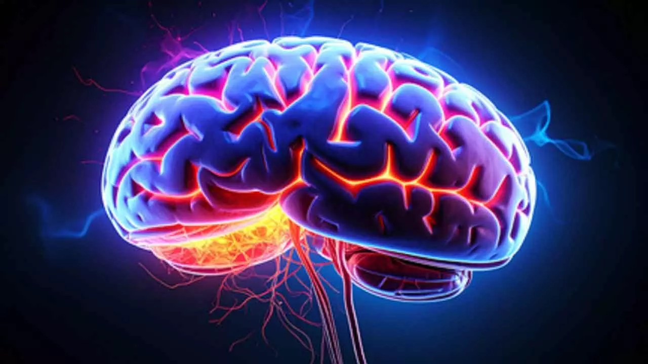 Study shows earlier menopause, poor heart health can affect brain Study shows earlier menopause, poor heart health can affect brain