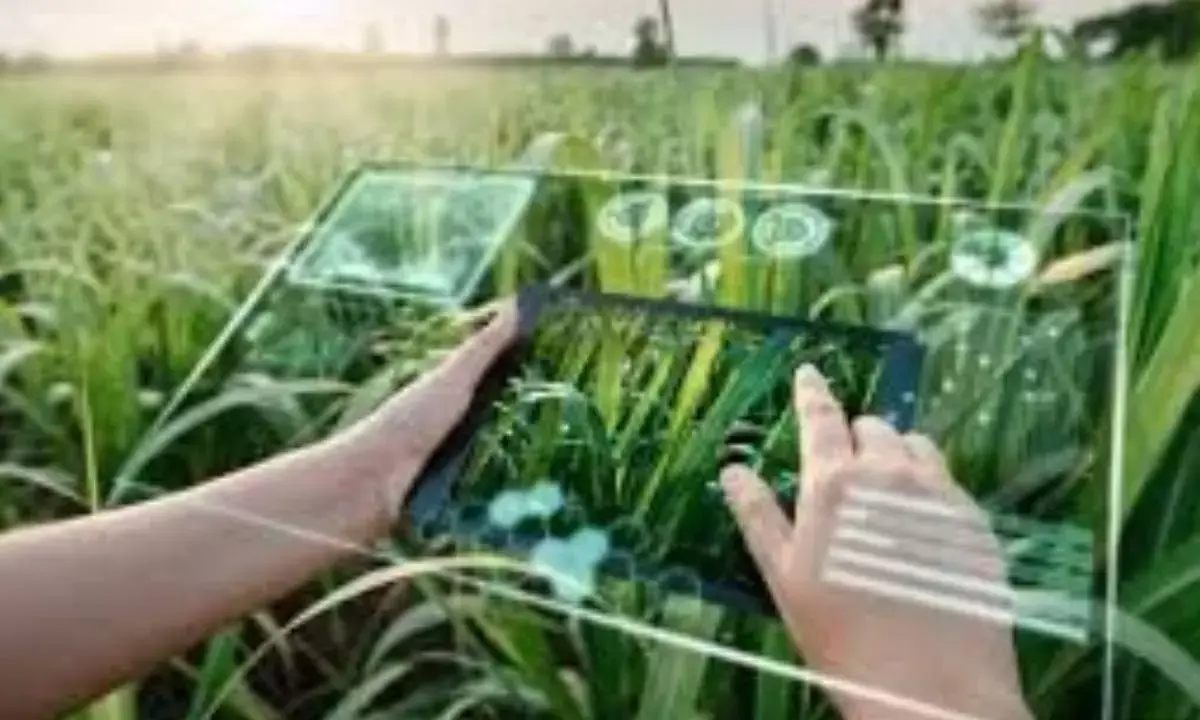 WEF, GoI launch AI playbooks for SMEs and agriculture